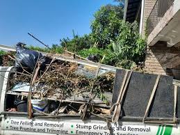 Best Estate Cleanout  in Carrollton, IL